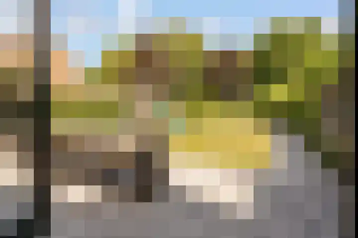 Hof van Batuwe 5 Lopikerkapel thumbnail 54