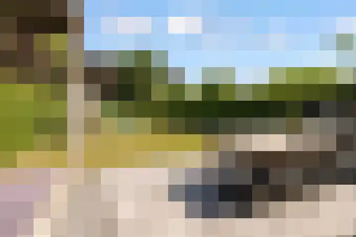 Hof van Batuwe 5 Lopikerkapel thumbnail 55
