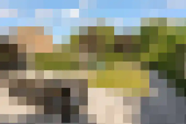 Hof van Batuwe 5 Lopikerkapel thumbnail 58