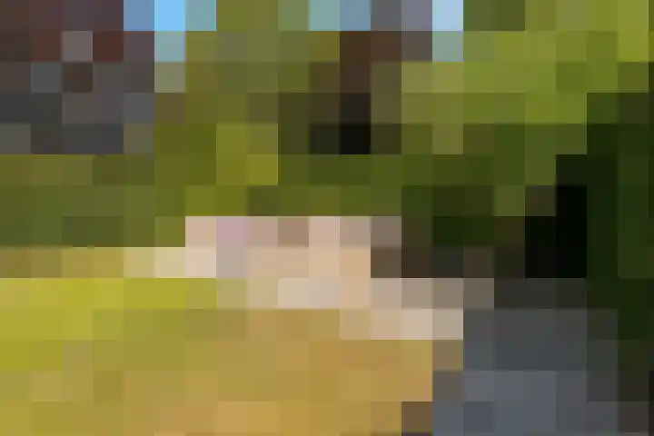 Hof van Batuwe 5 Lopikerkapel thumbnail 59