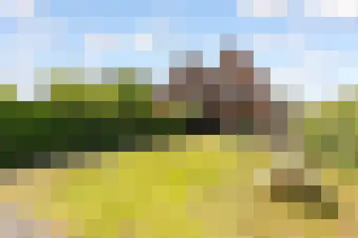 Hof van Batuwe 5 Lopikerkapel thumbnail 60