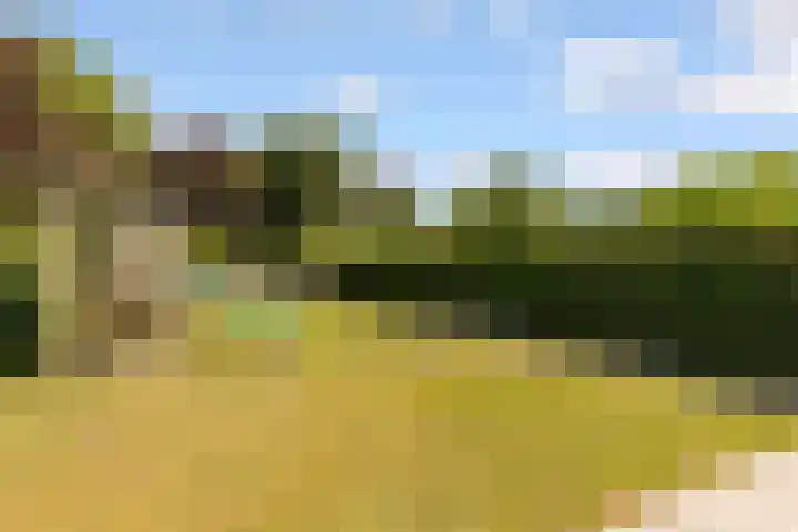 Hof van Batuwe 5 Lopikerkapel thumbnail 61