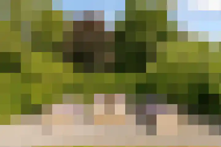 Hof van Batuwe 5 Lopikerkapel thumbnail 62
