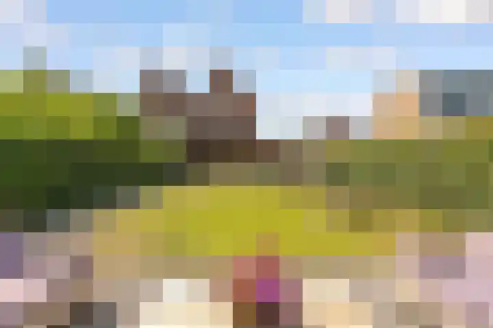 Hof van Batuwe 5 Lopikerkapel thumbnail 63