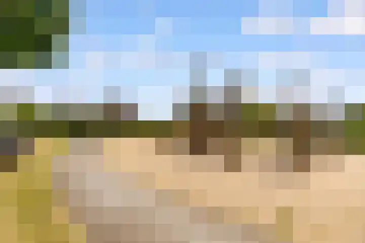 Hof van Batuwe 5 Lopikerkapel thumbnail 65