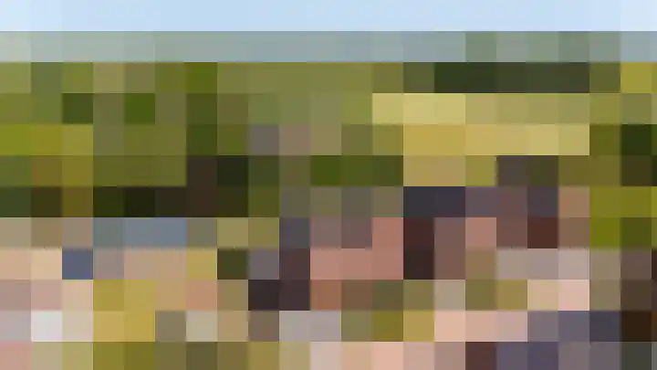 Hof van Batuwe 5 Lopikerkapel thumbnail 66