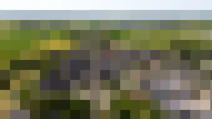Hof van Batuwe 5 Lopikerkapel thumbnail 67