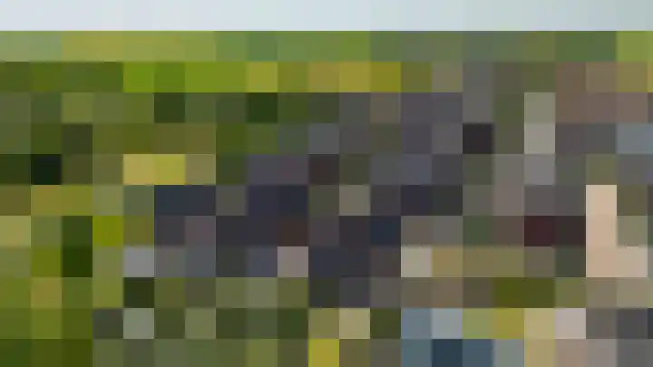 Hof van Batuwe 5 Lopikerkapel thumbnail 68