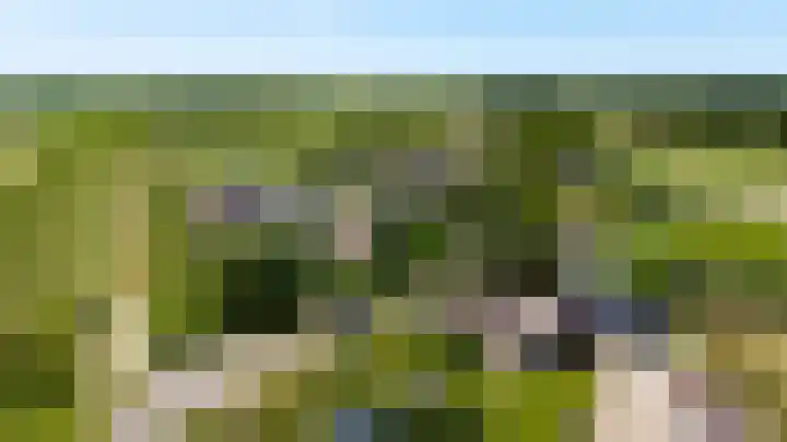 Hof van Batuwe 5 Lopikerkapel thumbnail 69