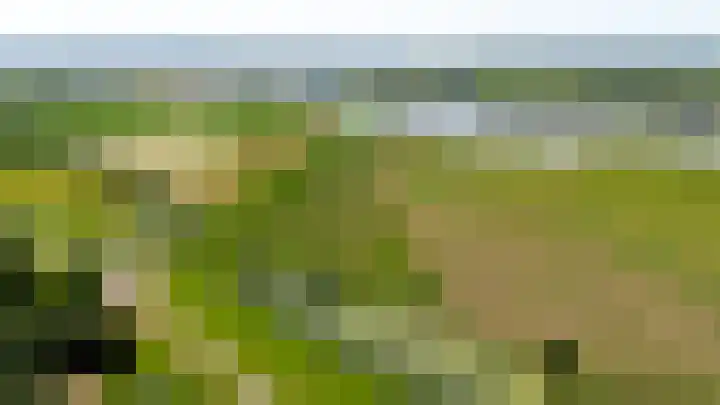 Hof van Batuwe 5 Lopikerkapel thumbnail 70