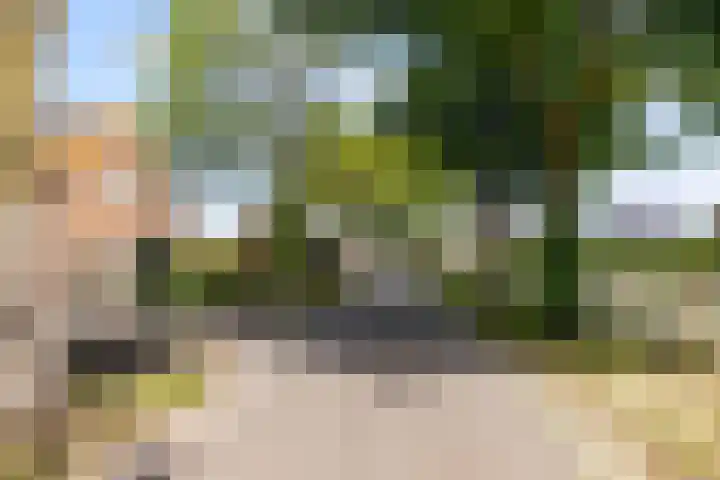 Hof van Batuwe 5 Lopikerkapel thumbnail 71
