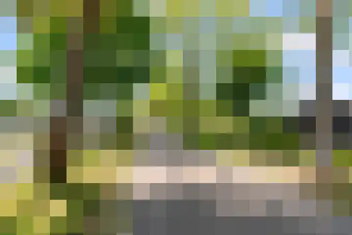 Hof van Batuwe 5 Lopikerkapel thumbnail 72