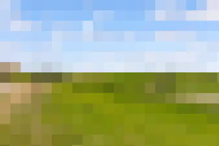 Hof van Batuwe 5 Lopikerkapel thumbnail 73