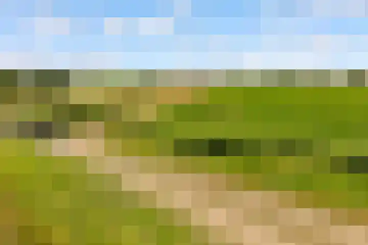 Hof van Batuwe 5 Lopikerkapel thumbnail 74