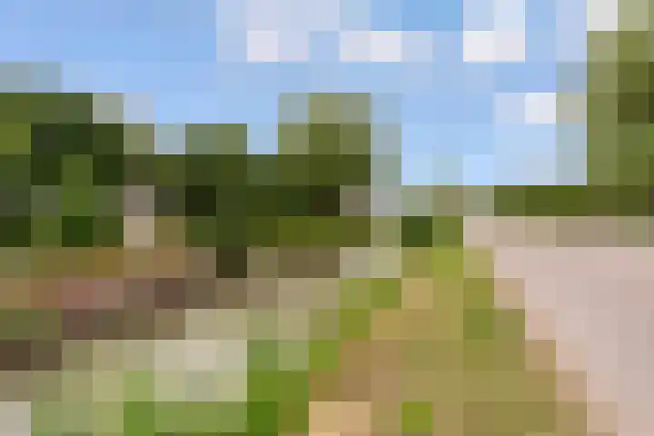 Hof van Batuwe 5 Lopikerkapel thumbnail 75