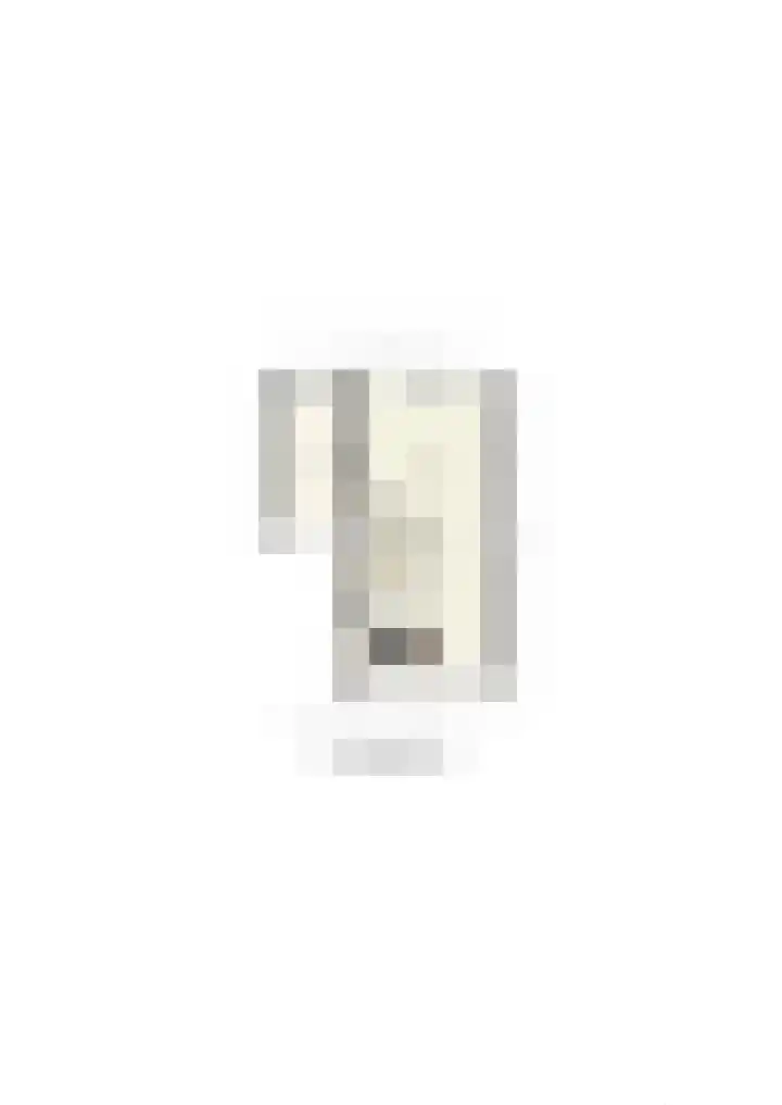 Hof van Batuwe 5 Lopikerkapel thumbnail 77