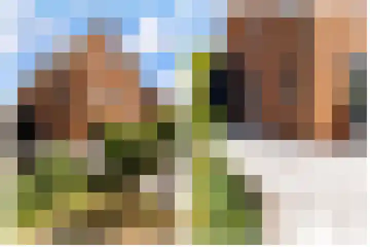 Hof van Batuwe 5 Lopikerkapel thumbnail 9
