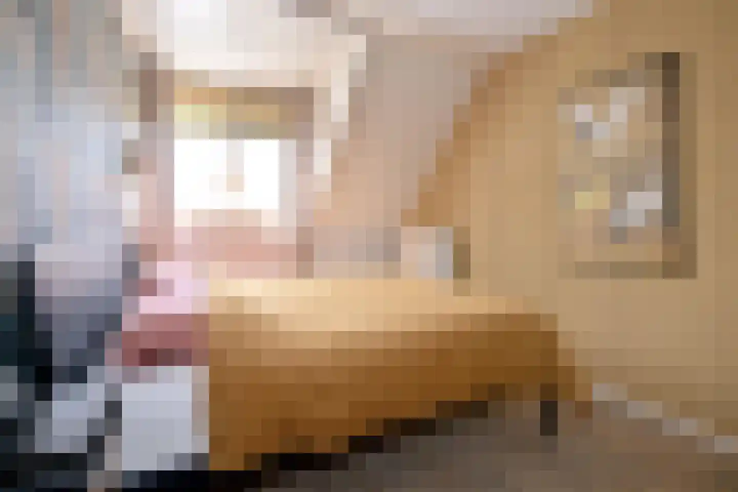 Hof van Berlage 43 Deventer thumbnail 15