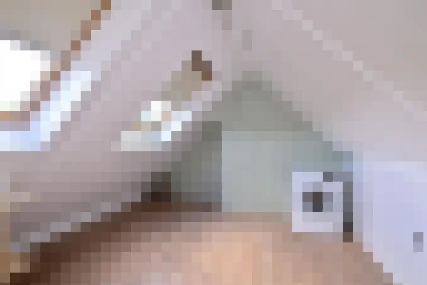 Hof van Berlage 43 Deventer thumbnail 28