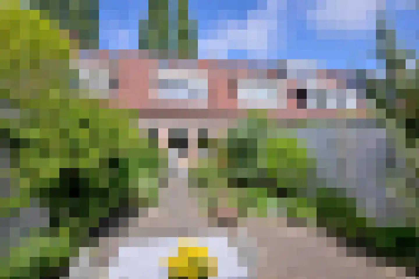 Hof van Berlage 43 Deventer thumbnail 34