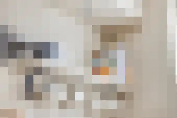Hof van Berlage 56 Deventer thumbnail 13