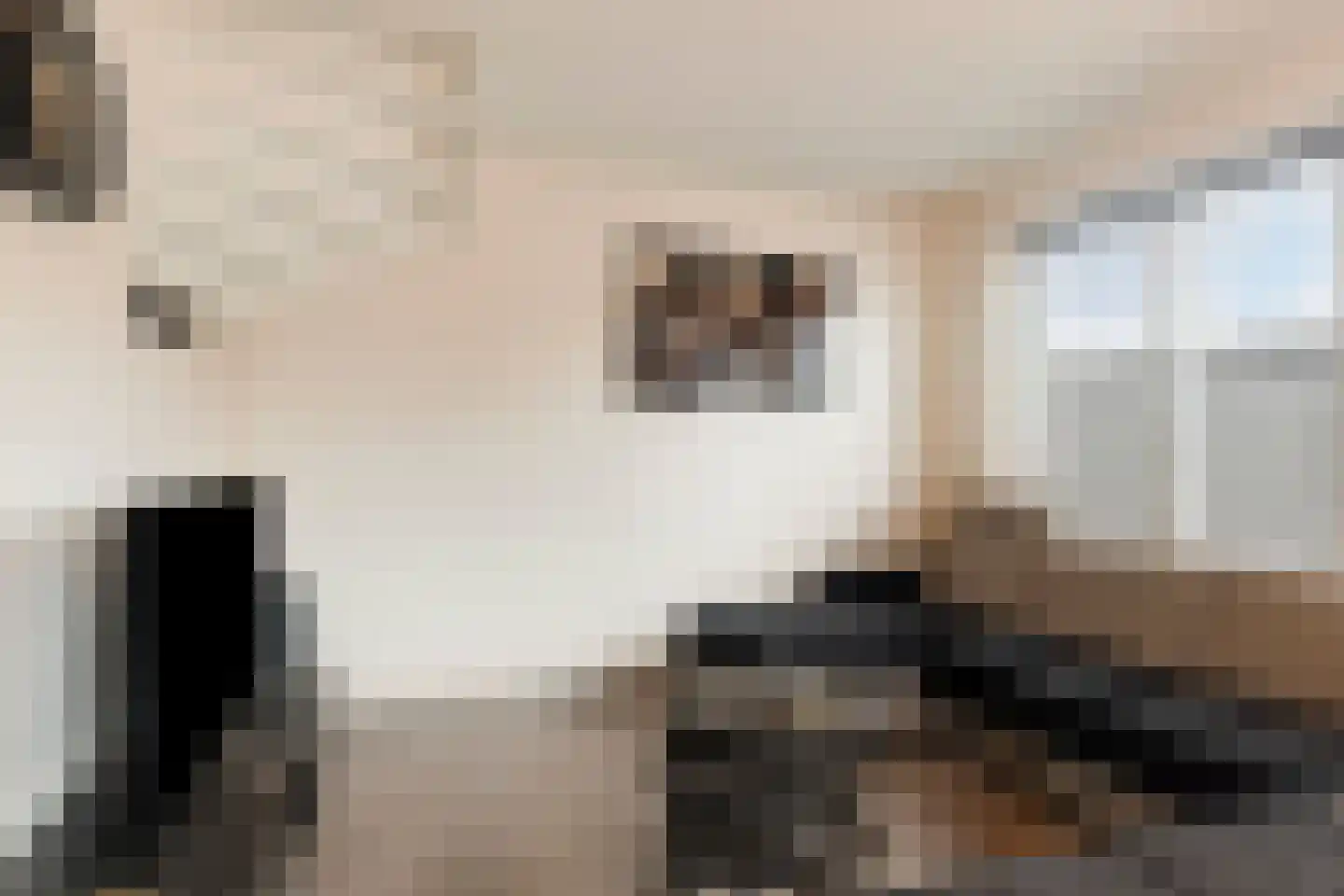 Hof van Braamt 9 Braamt thumbnail 7