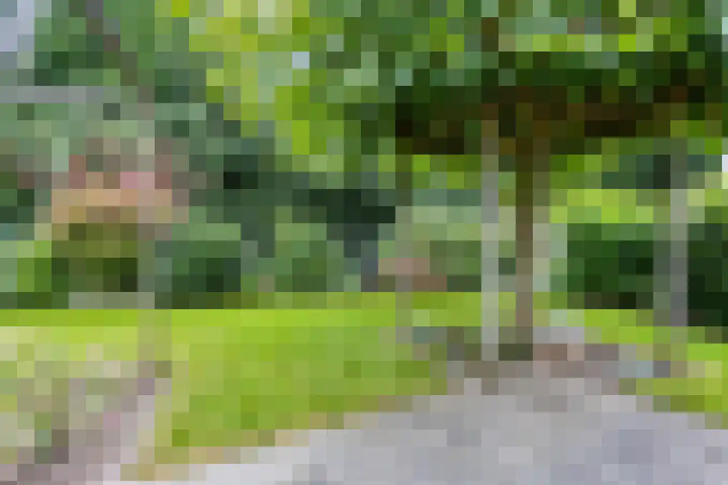 Hof van Brabant 17 Oss thumbnail 25