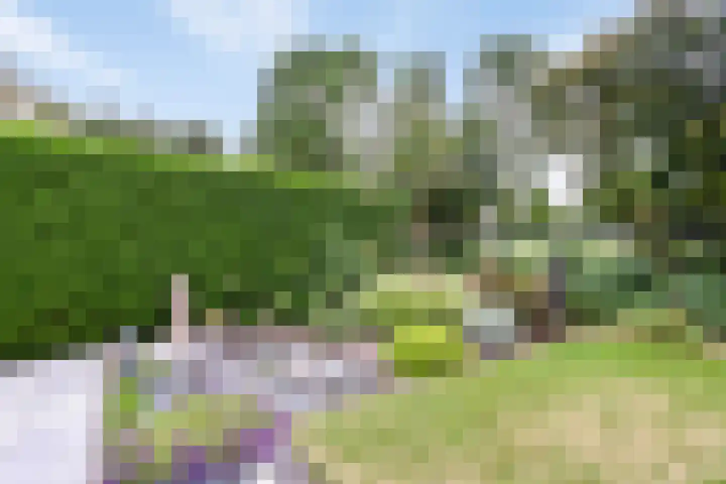 Hof van Brabant 17 Oss thumbnail 26