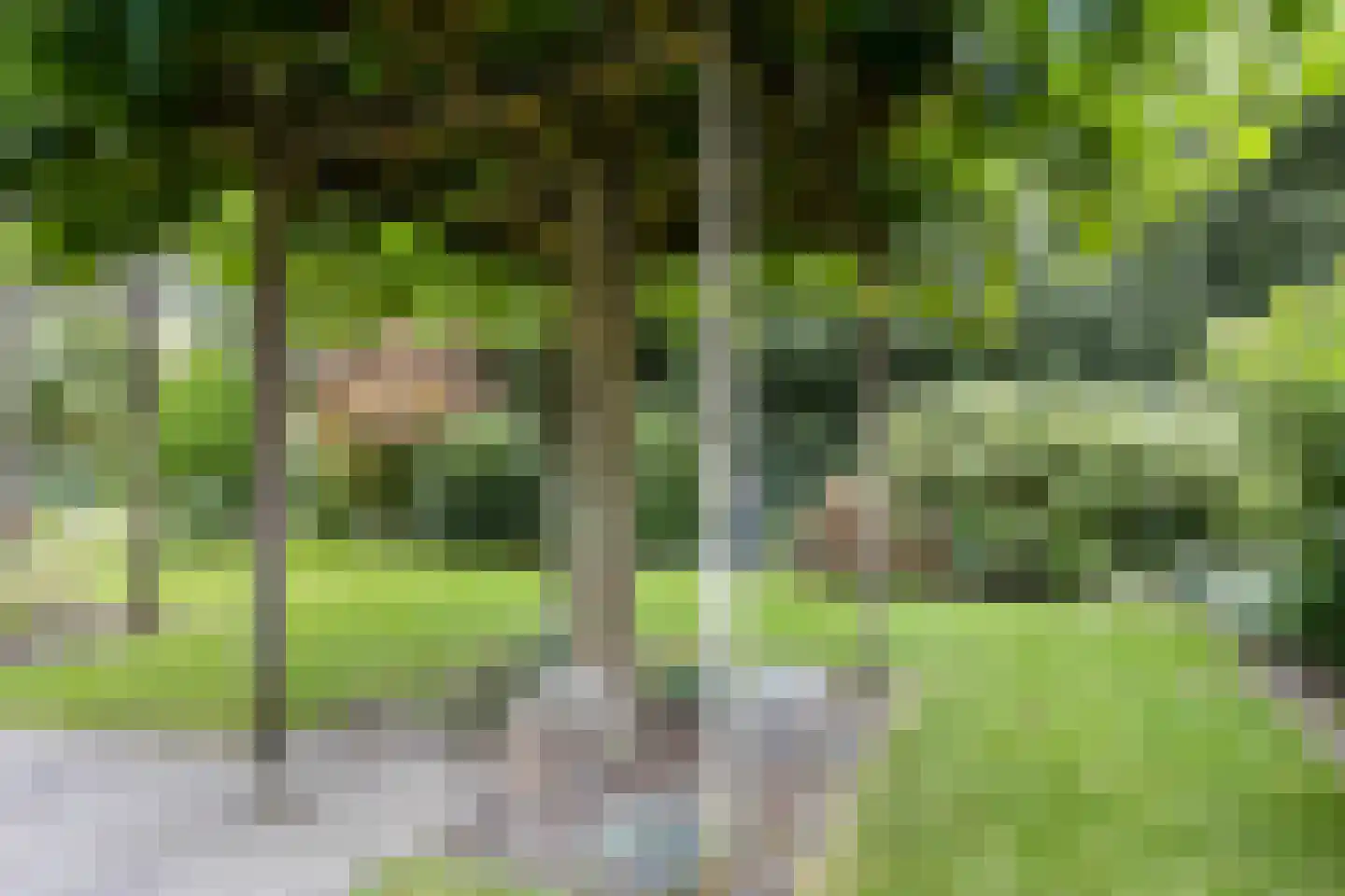 Hof van Brabant 17 Oss thumbnail 27