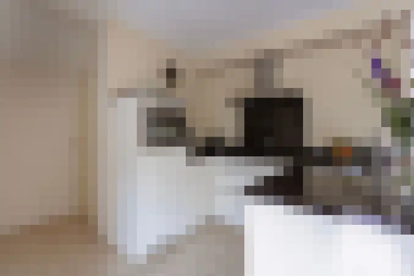 Hof van Brabant 17 Oss thumbnail 5