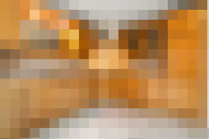 Hof van Brussel 27 Doetinchem thumbnail 11
