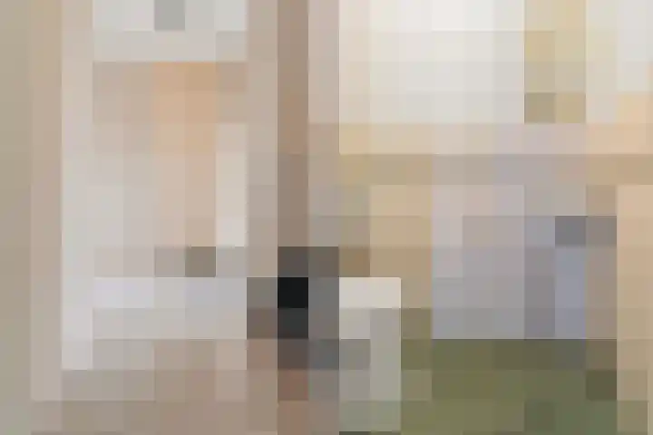 Hof van Brussel 27 Doetinchem thumbnail 14