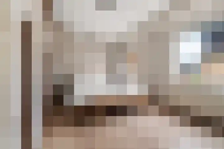 Hof van Brussel 27 Doetinchem thumbnail 16
