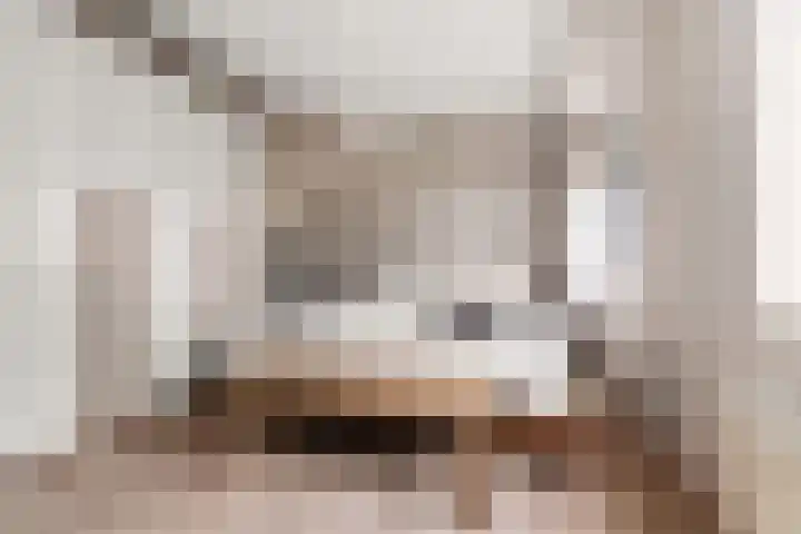 Hof van Brussel 27 Doetinchem thumbnail 17