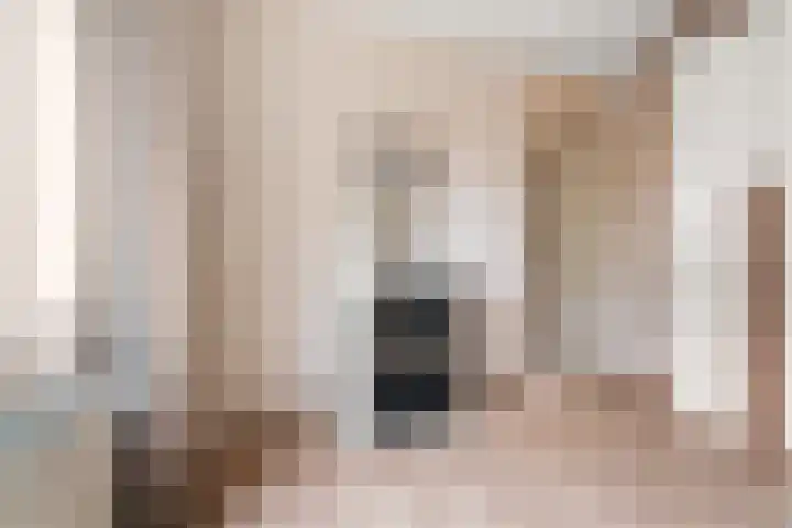 Hof van Brussel 27 Doetinchem thumbnail 18