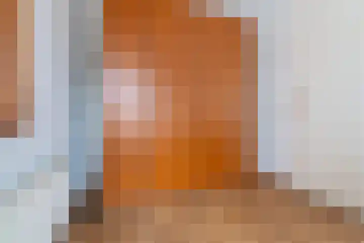 Hof van Brussel 27 Doetinchem thumbnail 22