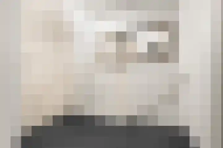 Hof van Brussel 27 Doetinchem thumbnail 28