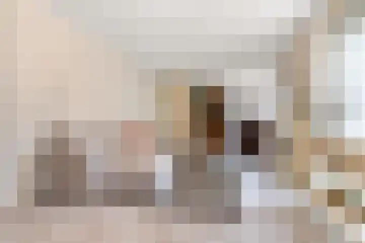 Hof van Brussel 27 Doetinchem thumbnail 4
