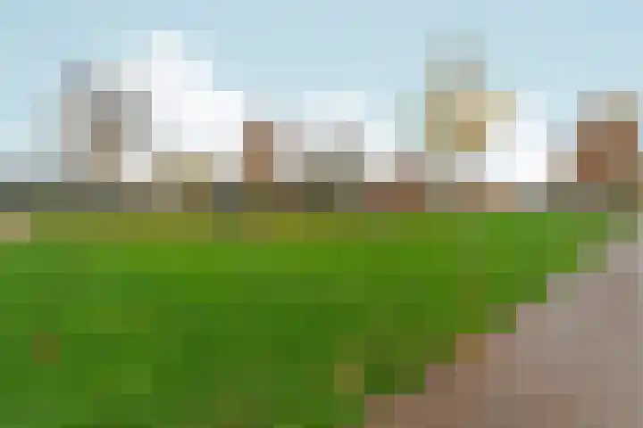Hof van Brussel 27 Doetinchem thumbnail 50