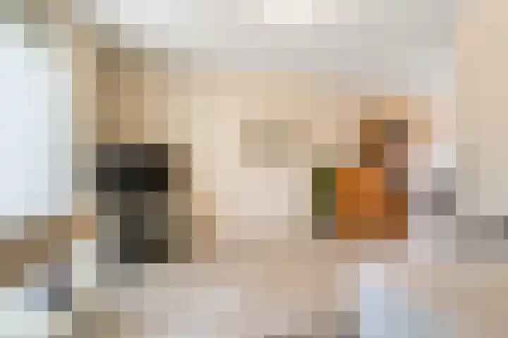 Hof van Brussel 27 Doetinchem thumbnail 8