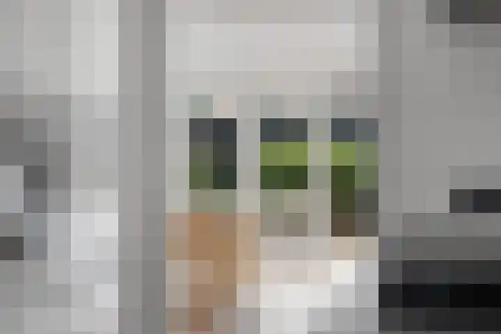 Hof van Brussel 37 Doetinchem thumbnail 15