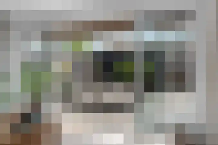 Hof van Brussel 37 Doetinchem thumbnail 17
