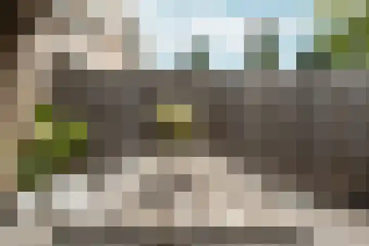 Hof van Brussel 37 Doetinchem thumbnail 19