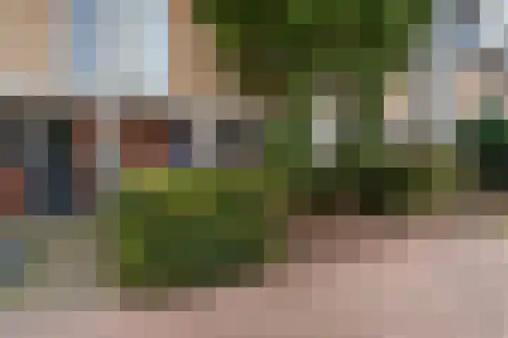 Hof van Brussel 37 Doetinchem thumbnail 21