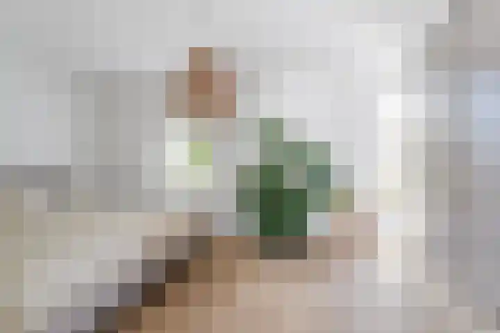 Hof van Brussel 37 Doetinchem thumbnail 25