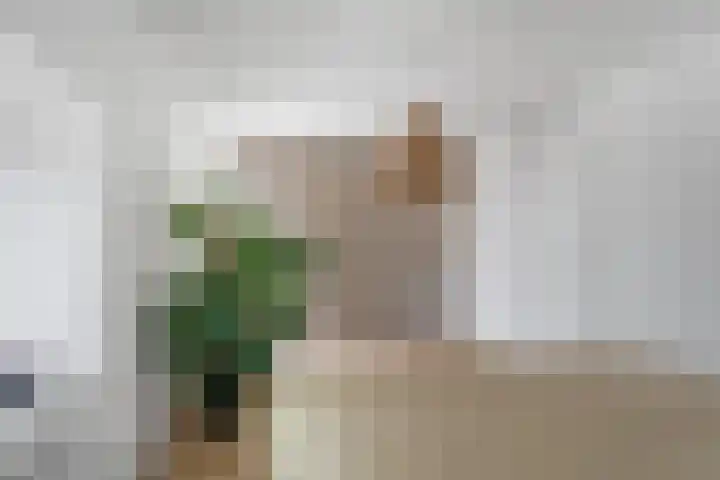 Hof van Brussel 37 Doetinchem thumbnail 27