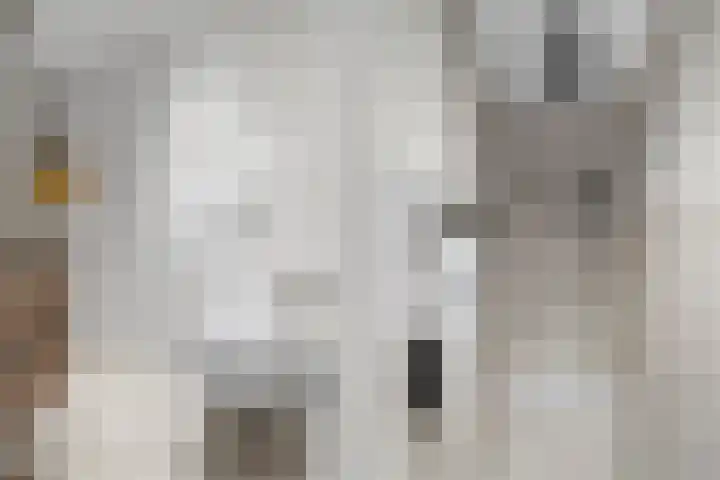 Hof van Brussel 37 Doetinchem thumbnail 35
