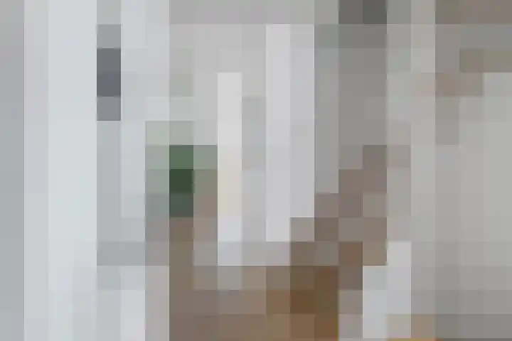 Hof van Brussel 37 Doetinchem thumbnail 36