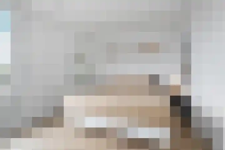 Hof van Brussel 37 Doetinchem thumbnail 39