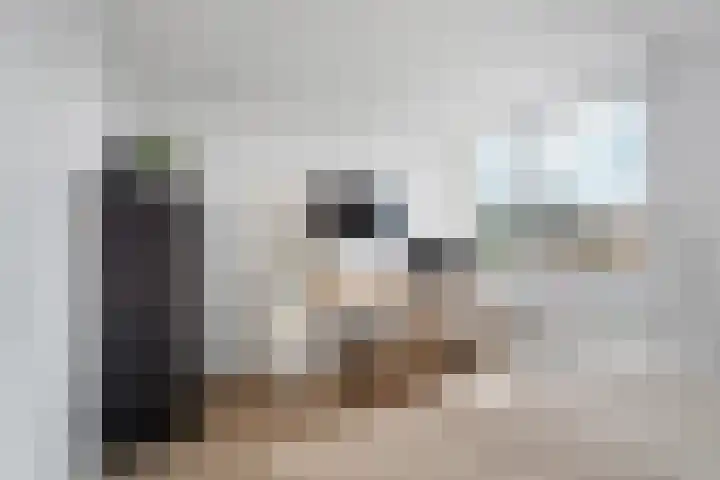 Hof van Brussel 37 Doetinchem thumbnail 40